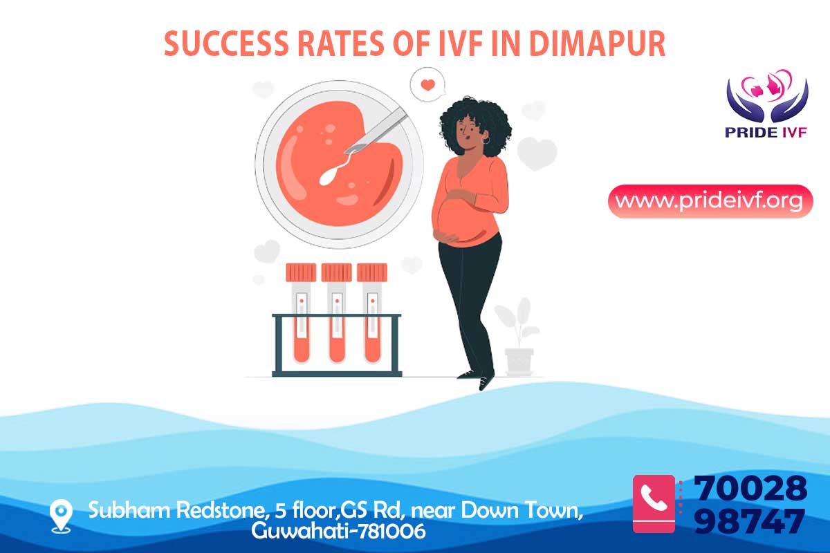 Success Rates of IVF in Dimapur