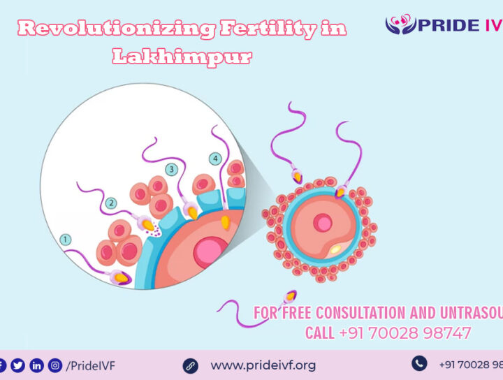 Revolutionizing Fertility in Lakhimpur