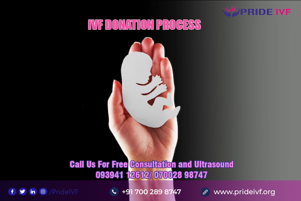 IVF Donation Process
