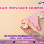 IVF Donors